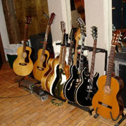 Erics Guitars